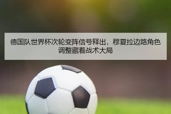 de-guo-dui-shi-jie-bei-ci-lun-bian-zhen-xin-hao-shi-chu-mu-xia-la-bian-lu-jue-se-tiao-zheng-cang-zhe-zhan-shu-da-ju-2-110.jpg