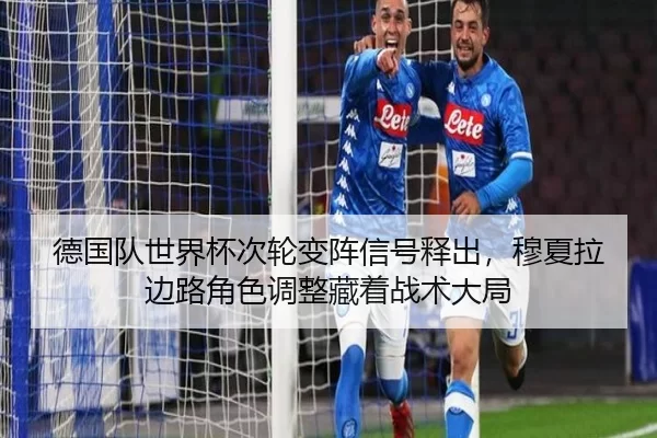 de-guo-dui-shi-jie-bei-ci-lun-bian-zhen-xin-hao-shi-chu-mu-xia-la-bian-lu-jue-se-tiao-zheng-cang-zhe-zhan-shu-da-ju-3-490.jpg